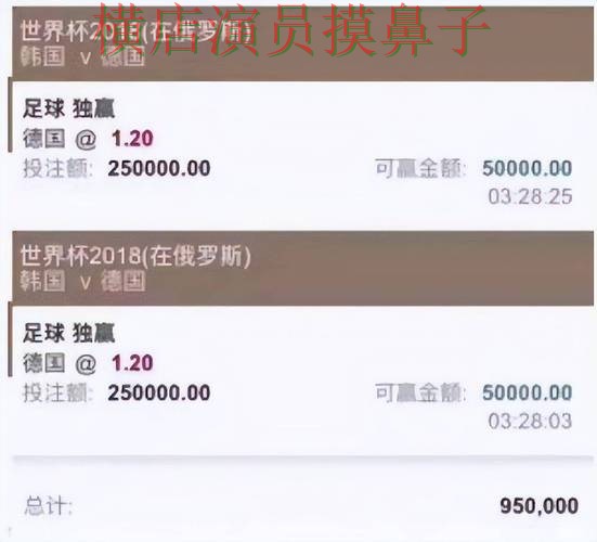 世界杯买球平台深度评测报告：平台排行与实际体验总结 - 世界杯赛事中心